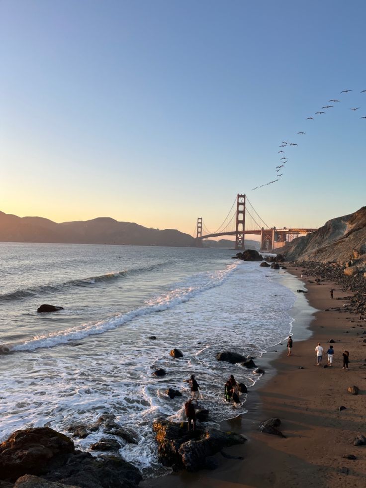 people are walking along the beach in front of the golden gate bridge as birds fly overhead