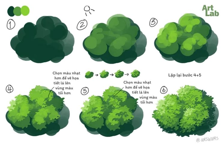 various types of trees and shrubs in different stages of growth, with instructions to grow them