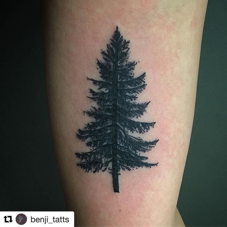 a small pine tree tattoo on the leg