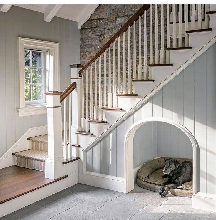 a dog is laying in his bed under the stair case at the bottom of the stairs