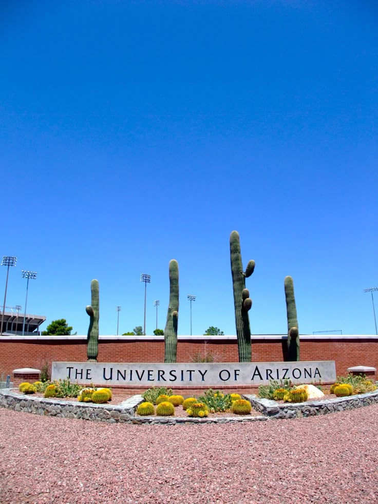 the university of arizona sign is surrounded by cacti