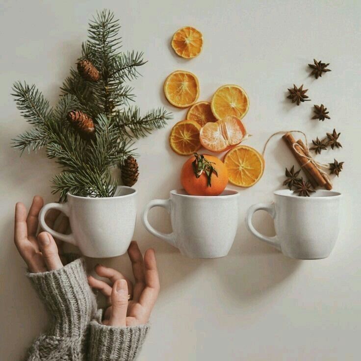 two hands holding cups with oranges and spices on them, surrounded by pine cones