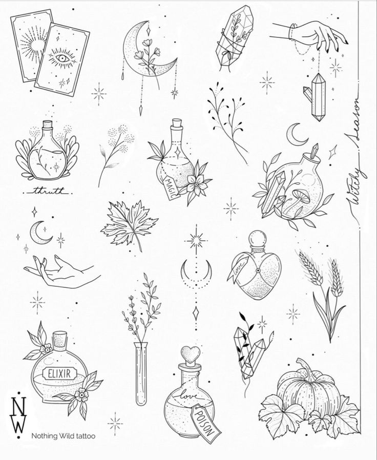 an ink drawing of flowers and perfume bottles