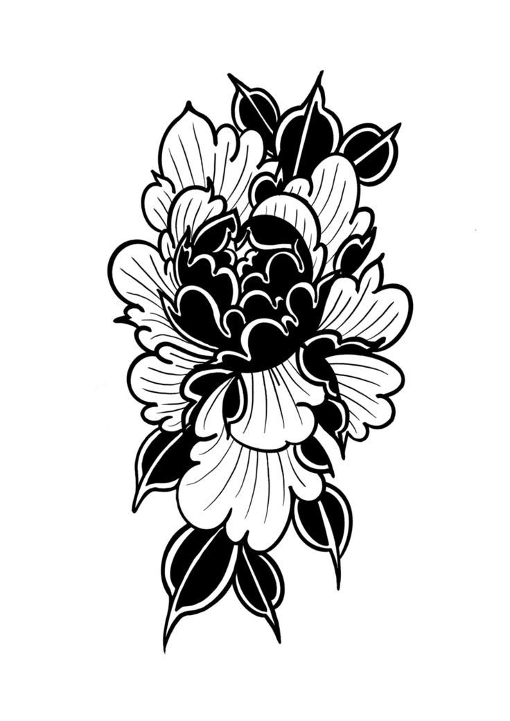 Chrysanthemum Tattoo Traditional Black, American Trad Peony, Blackwork Tattoo Design Drawings Flowers, Black Traditional Flower Tattoo, Blackwork Flower Tattoo Design, Japanese Tattoo Black And White, Black And White Peony Tattoo, Traditional Tattoo Flowers Black, Chrisantemum Tattoo