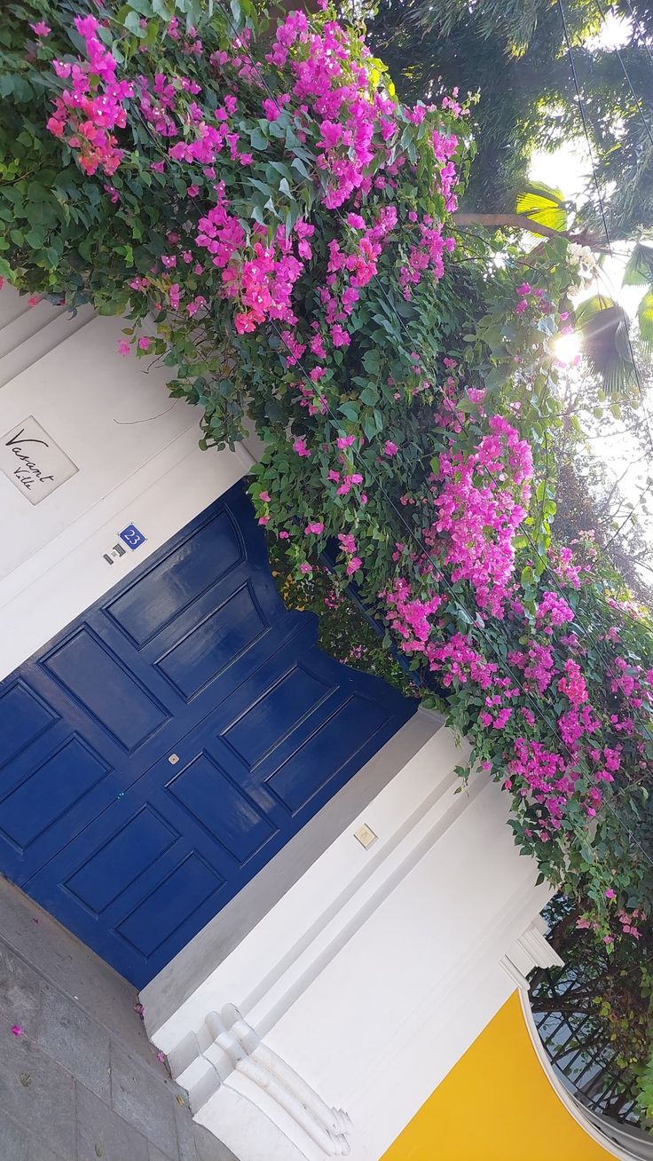 purple flowers are growing on the side of a building with blue doors and yellow trim