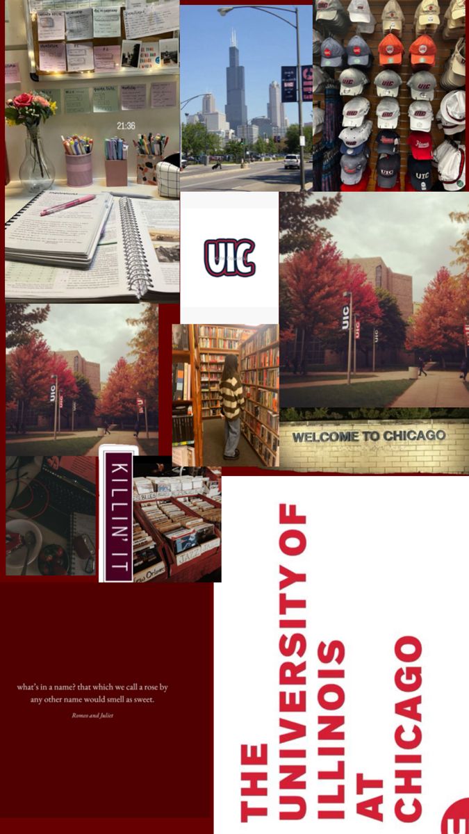 the university of chicago brochure is shown in red, white and blue colors