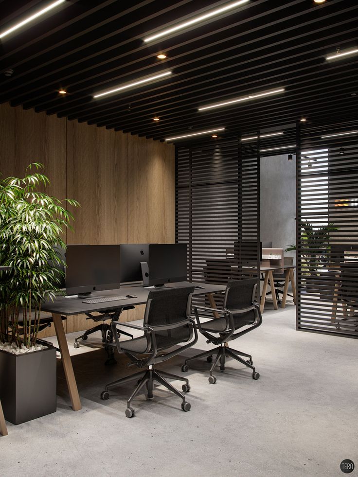 an office area with two desks, chairs and a potted plant in the center