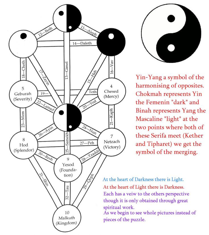 the yin - yang symbol is shown in black and white, with text below it