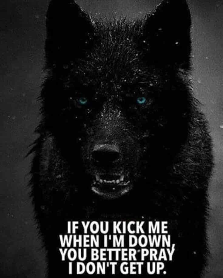 a wolf with the words if you kick me when i'm down, you better pray