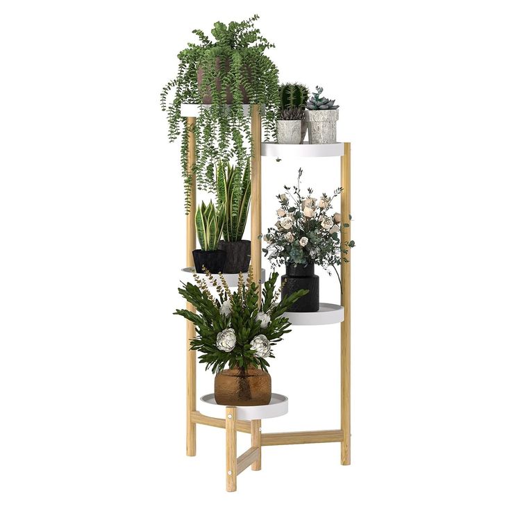 three tiered plant stand with potted plants on top and bottom shelves, in front of a white background