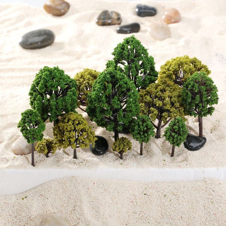 small trees are in the sand near rocks