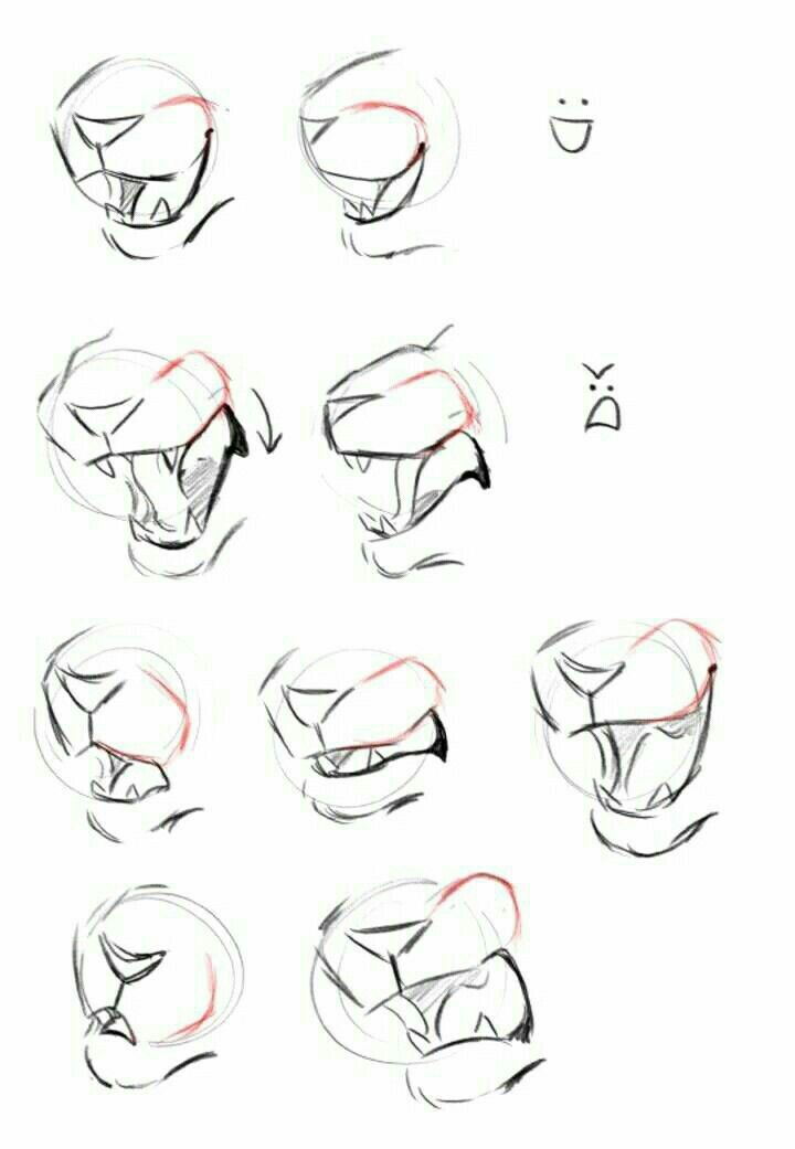 the steps to draw an animal's head with different angles and shapes on it