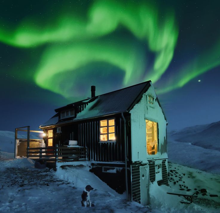 a cabin with an aurora light in the sky above it and a dog standing outside