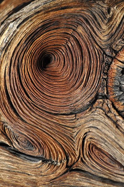 closeup of the wood grains on an old tree trunk that has been turned into a spiral