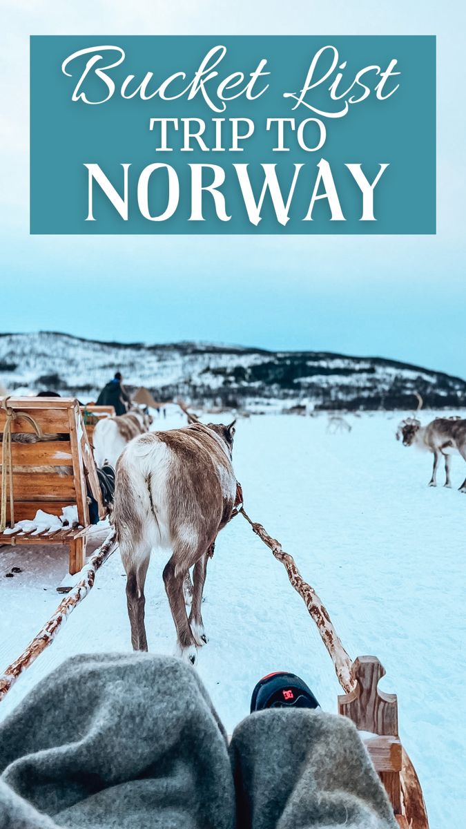 a person laying in the snow with their feet up on a sleigh and reindeers behind them