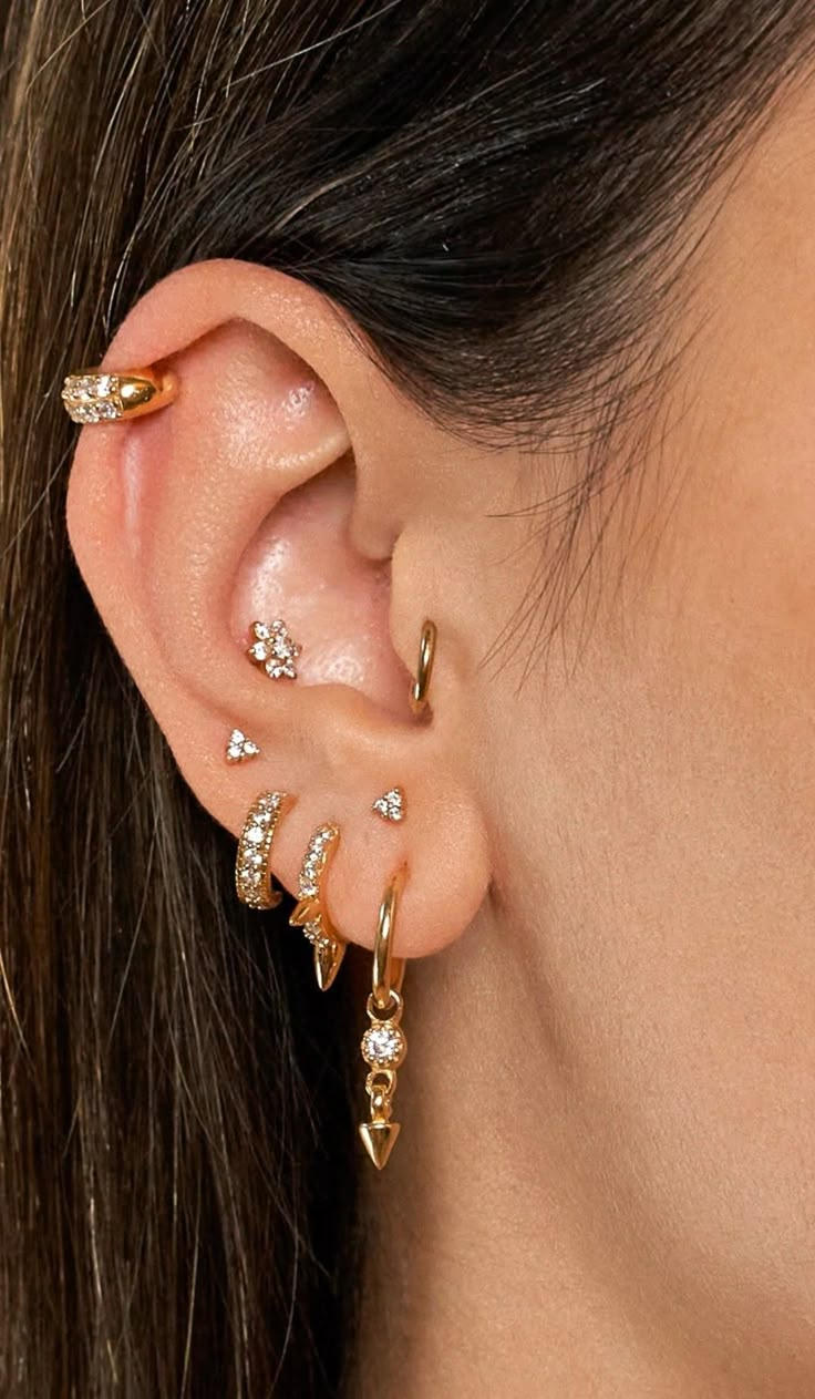 a close up of a person with ear piercings on their left and right ears