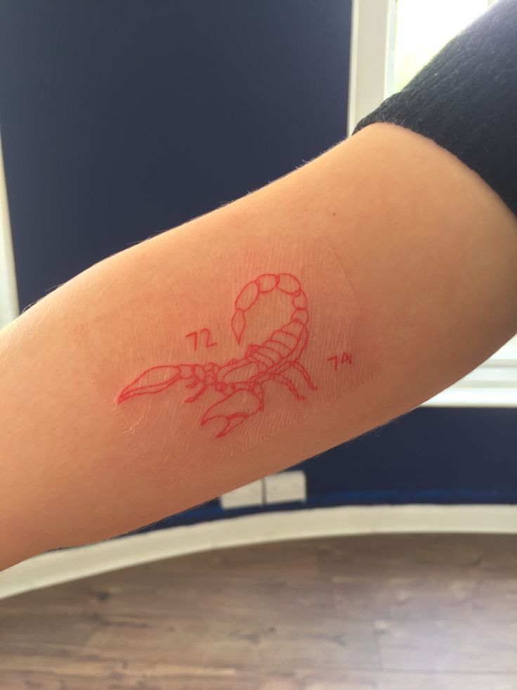 red line scorpion tattoo Line Scorpion Tattoo, Tiny Scorpion Tattoo, Red Scorpion Tattoo, Red Scorpion, Small Bird Tattoos, J Tattoo, Scorpio Tattoo, Female Tattoos, Pretty Hand Tattoos