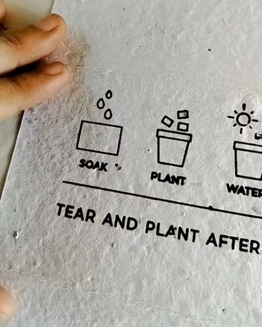 a paper with some writing on it that says tear and plant after