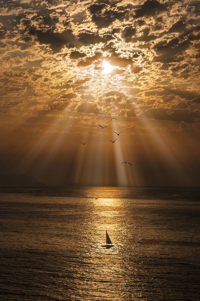 the sun shining through clouds over water with a sailboat in the foreground and birds flying overhead