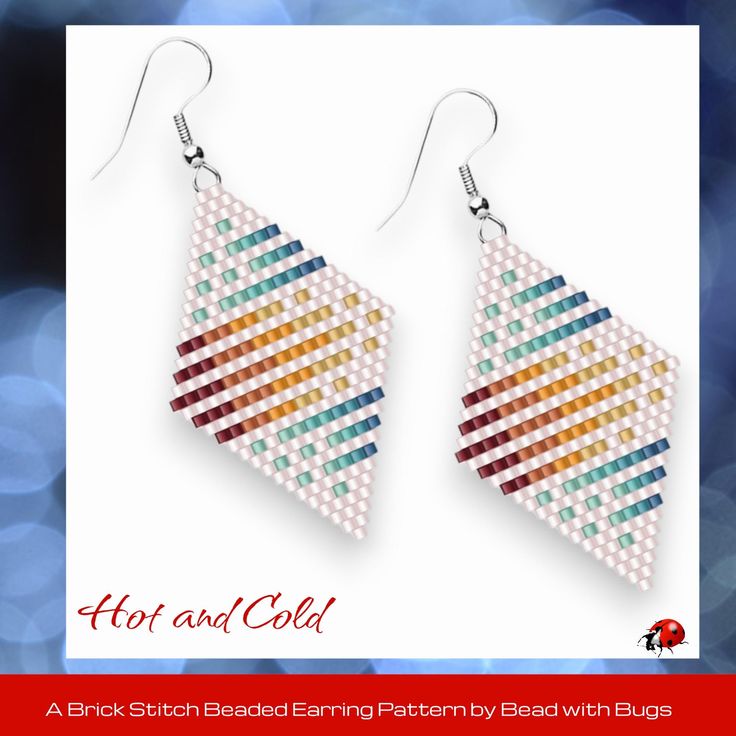 a pair of earrings with multicolored beads