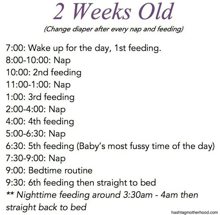 the baby's feeding schedule for 2 weeks old is shown in purple and white