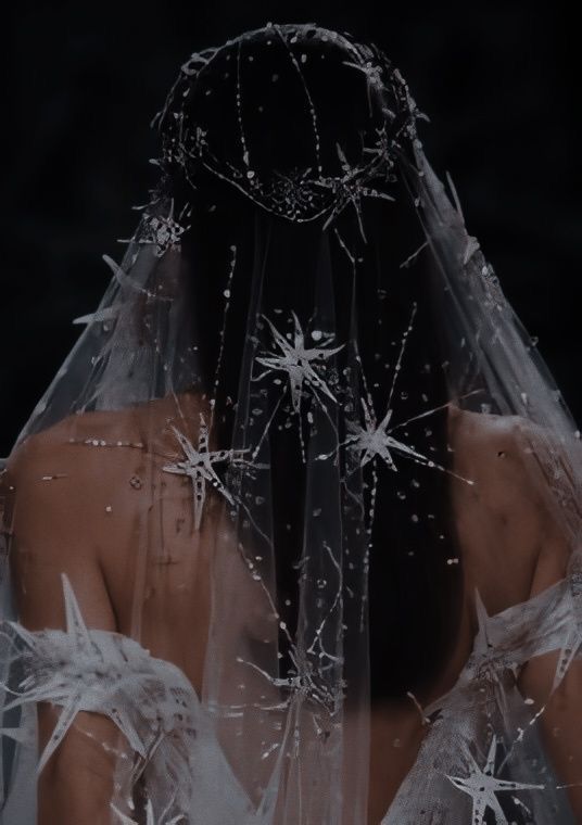 the back of a woman wearing a veil with stars on it