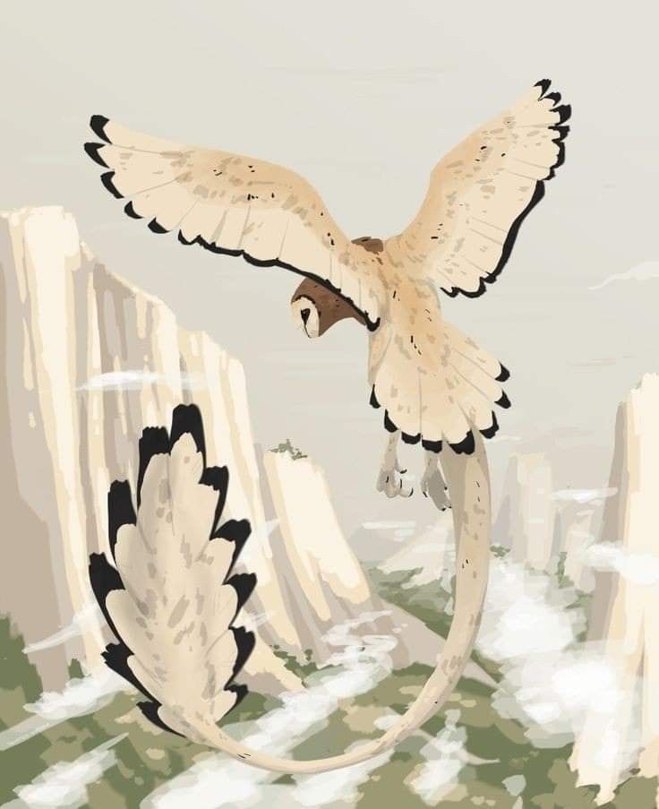 an illustration of a bird flying in the sky