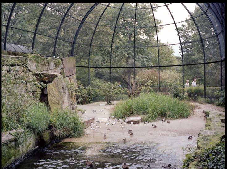 there are many ducks swimming in the water under this glass roofed enclosure that is surrounded by rocks and grass