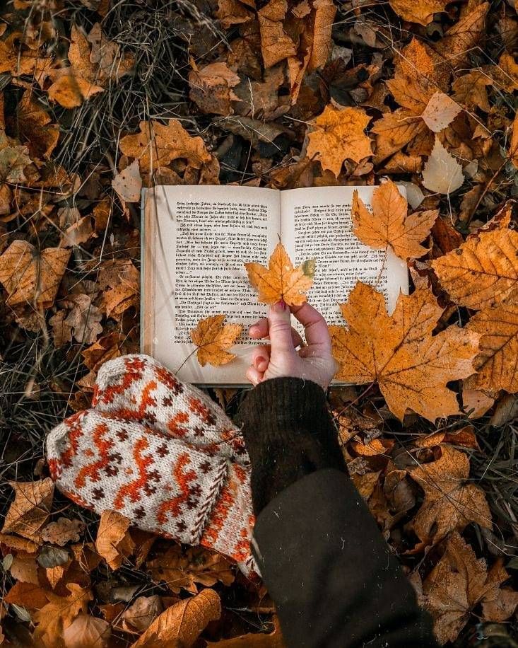 someone is holding an open book in their hand while laying on the ground covered with leaves