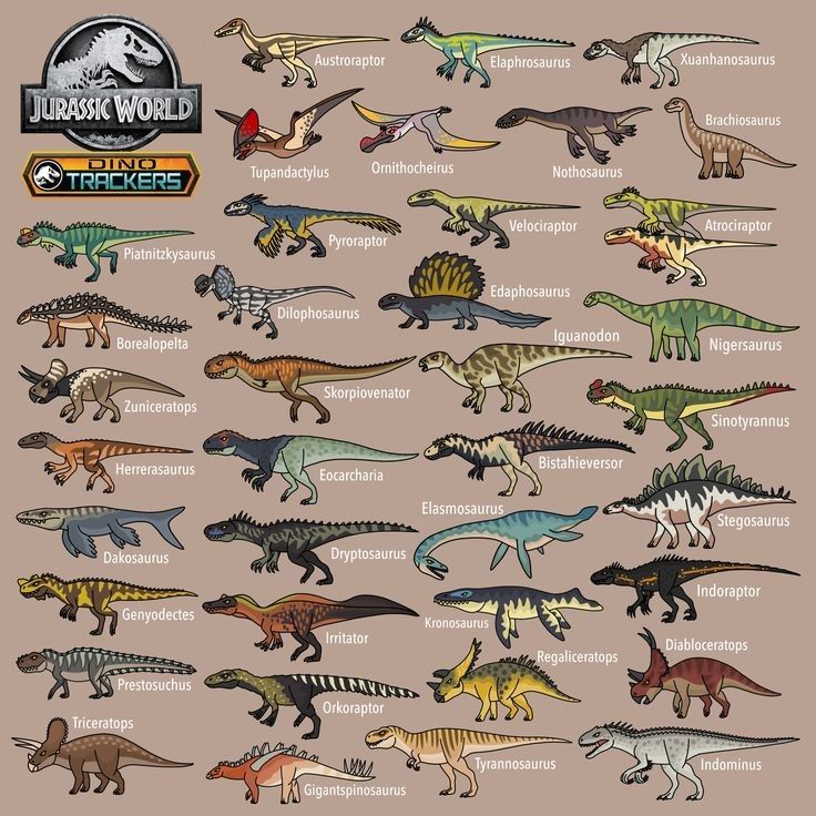 an image of dinosaurs that are all different colors and sizes, with the words dinosaur world on