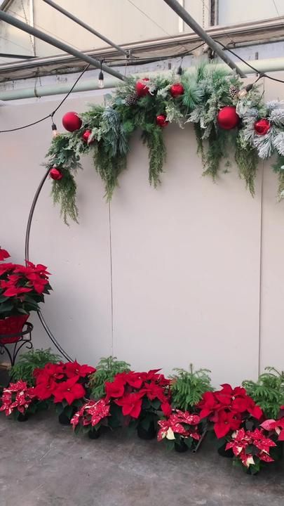 red and green christmas decorations on the side of a white wall next to potted plants