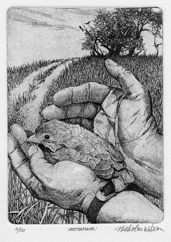 a drawing of a hand holding a bird in it's palm with a tree in the background