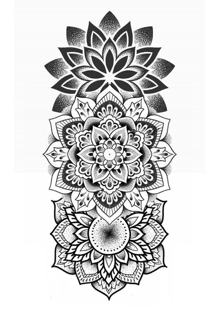 a black and white drawing of a flower with lots of petals on the petals,