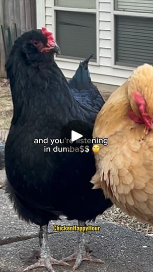 two chickens standing next to each other in front of a house with the caption and you're listening in dumbiss $ 3