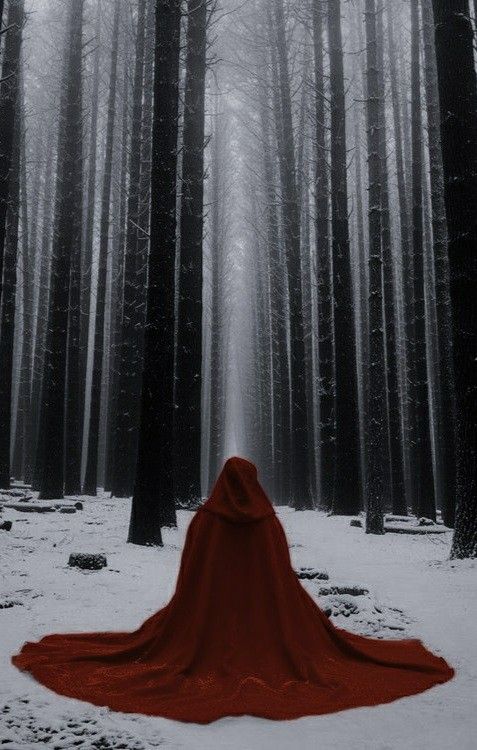 a hooded person standing in the middle of a forest with snow on the ground and trees