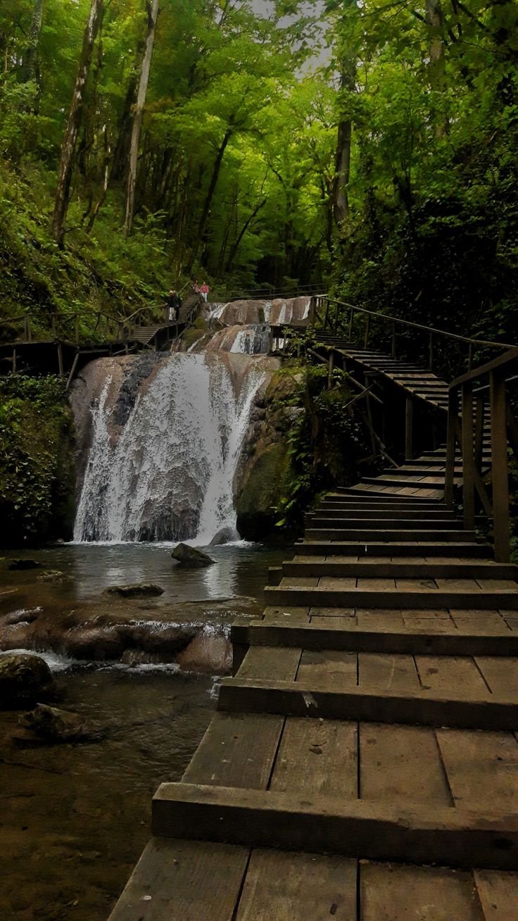 steps lead down to a waterfall in the woods