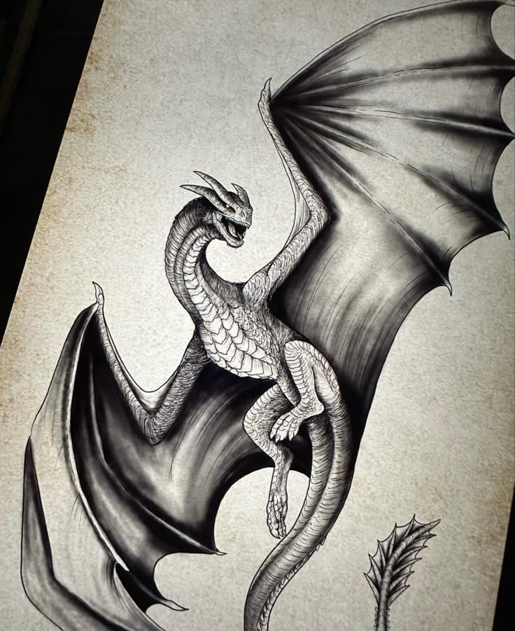 a black and white drawing of a dragon sitting on top of a piece of paper