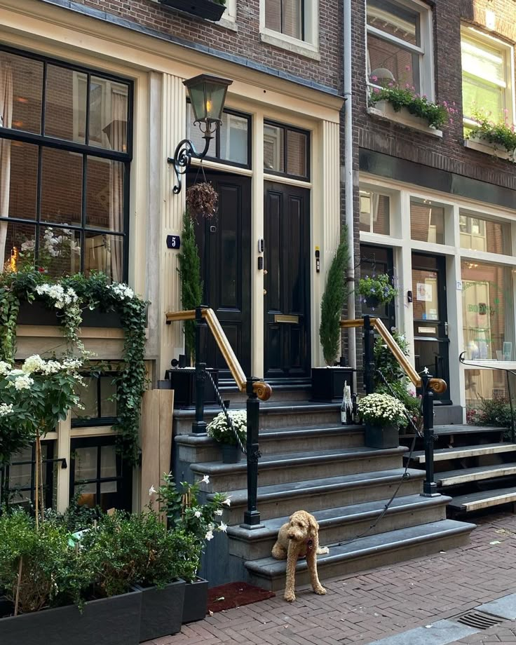 a dog is tied up to the steps in front of a building with flowers on it