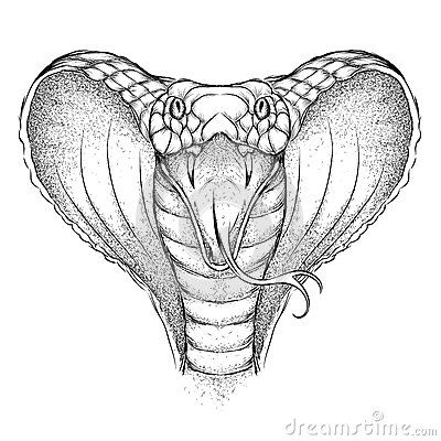 an illustration of a snake's head in black and white