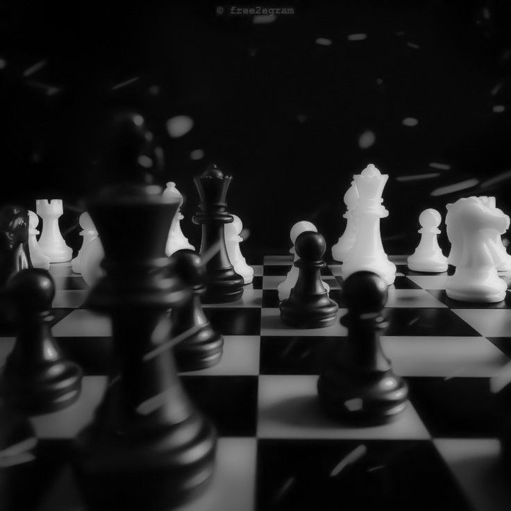 a black and white photo of chess pieces