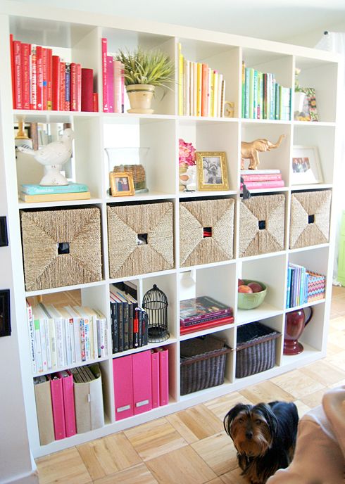 a dog is sitting on the floor in front of a bookshelf