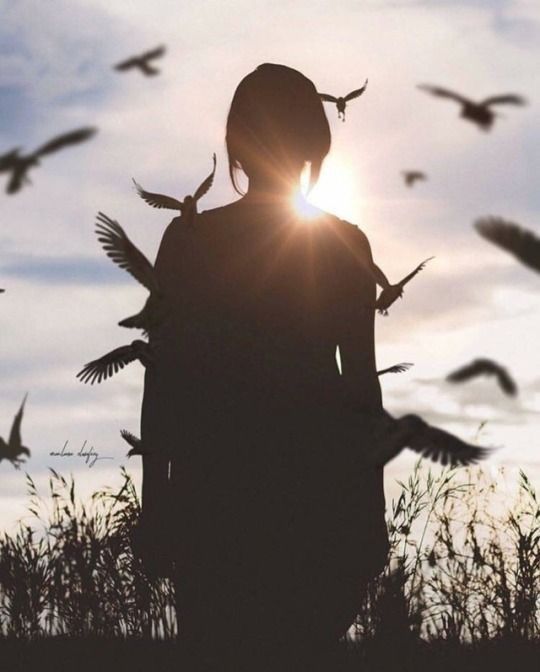 the silhouette of a woman with birds flying around her