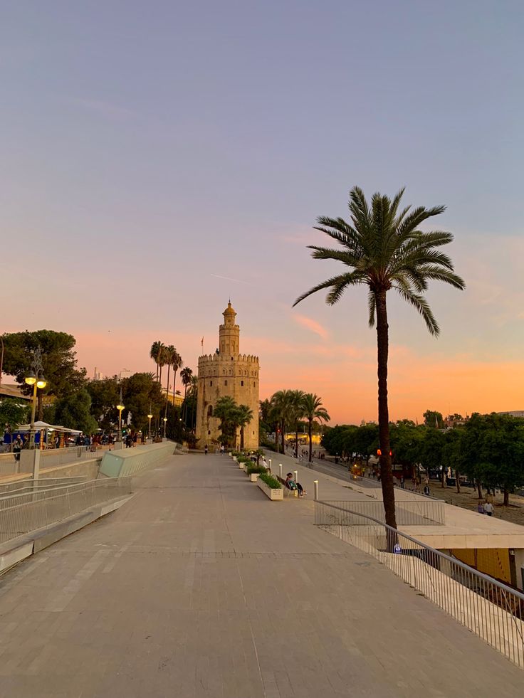 a palm tree sitting on the side of a road next to a tall tower with a clock