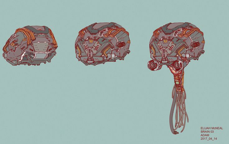 an image of the inside of a human head with different parts in red and orange