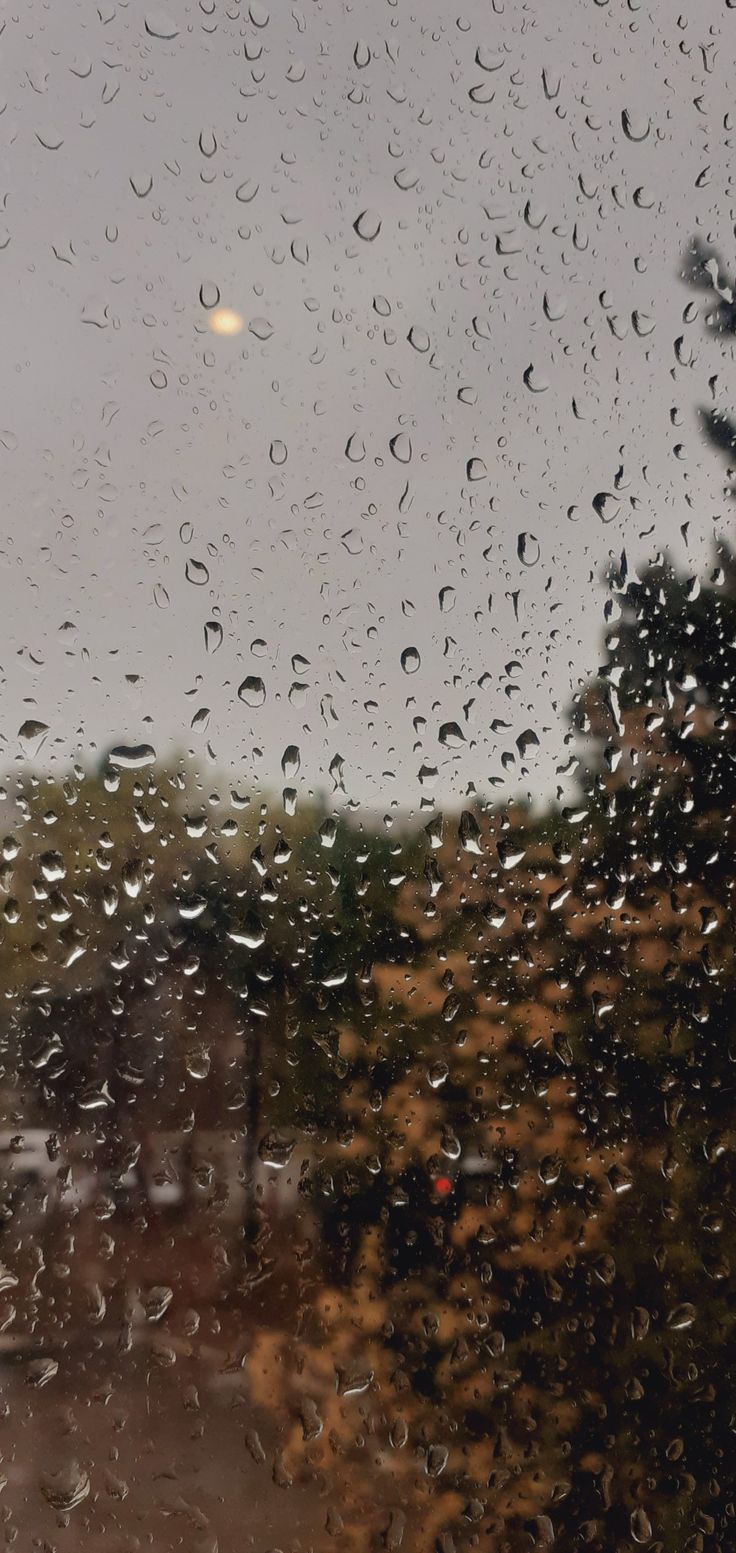 rain drops on the window and trees outside