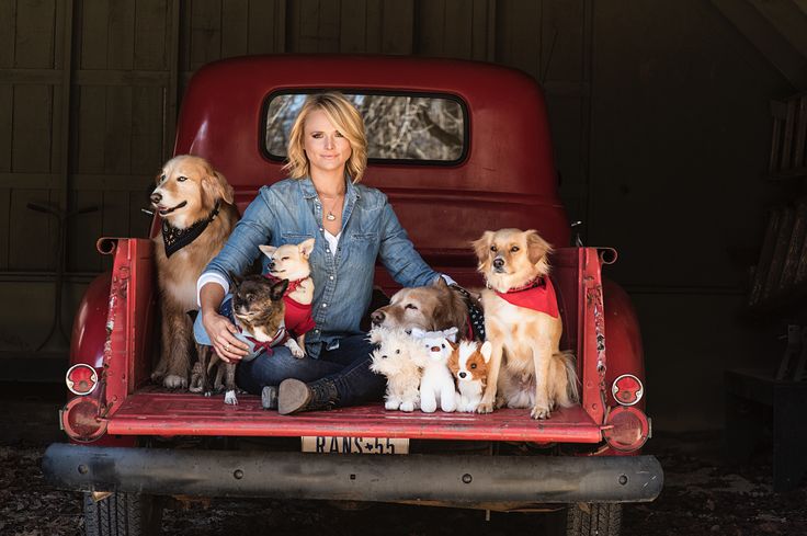 a woman sitting in the back of a pick up truck surrounded by dogs