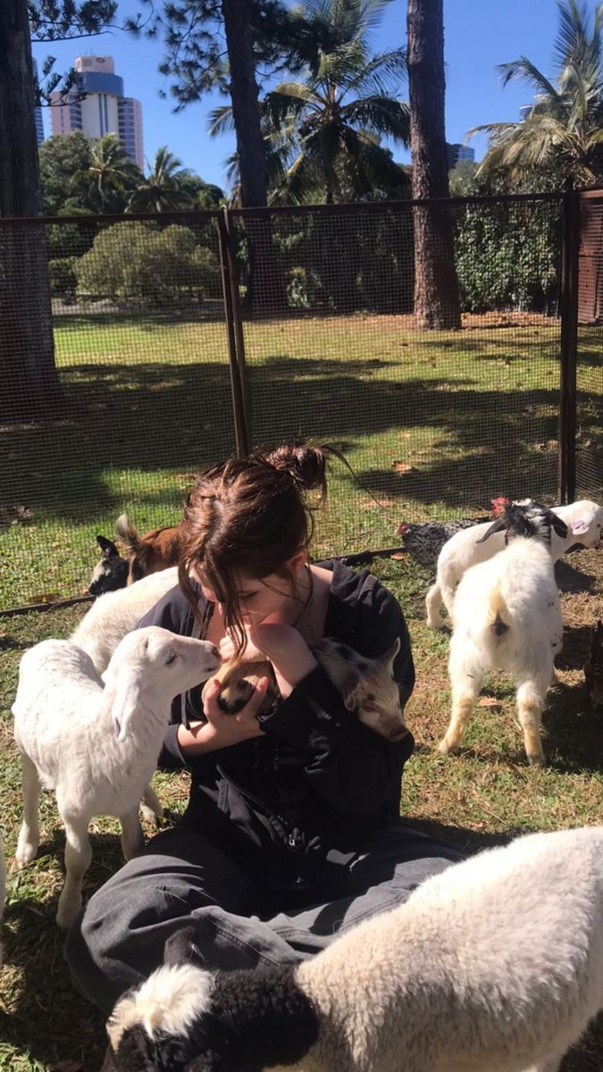 a woman sitting on the ground with some sheep and lambs in a fenced area