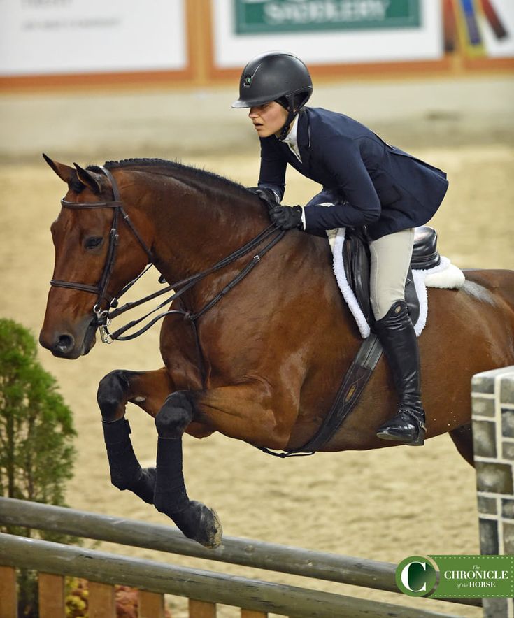 a woman riding on the back of a brown horse