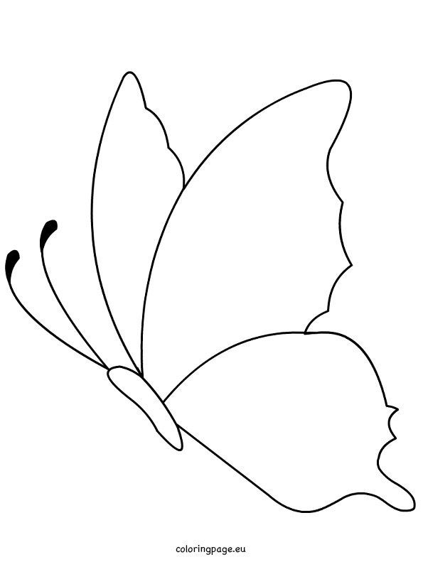 a black and white drawing of a butterfly