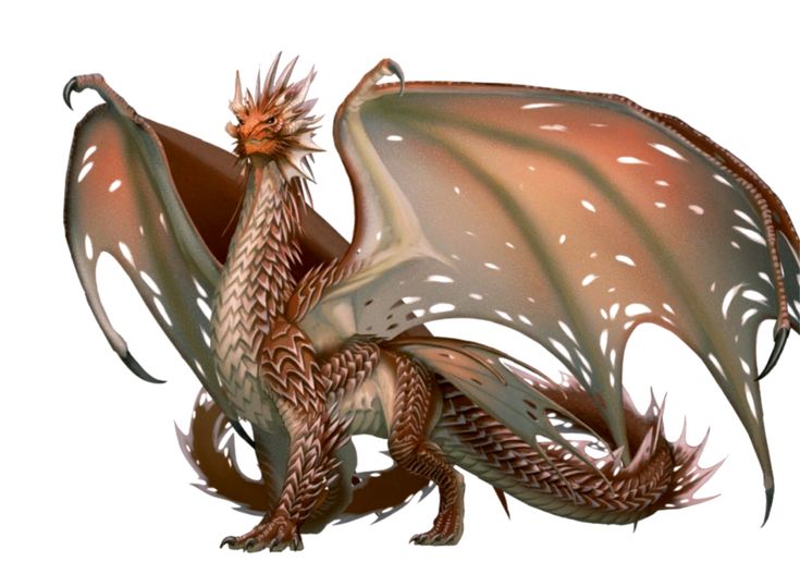 a very cute looking dragon with big wings